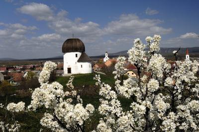 Ösküi kerektemplom-stock-foto