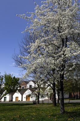 Villánykövesd-stock-foto