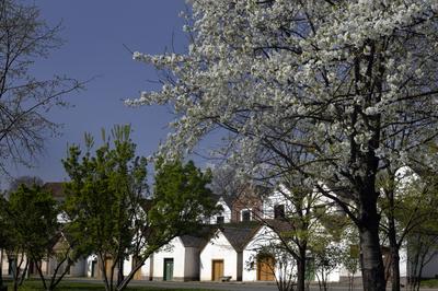 Villánykövesd-stock-foto