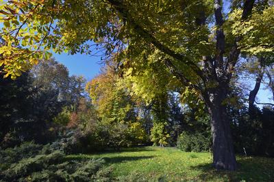 Vácrátót-stock-foto
