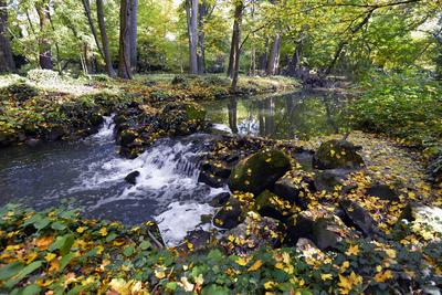 Vácrátót-stock-foto