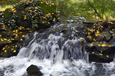 Vácrátót-stock-foto