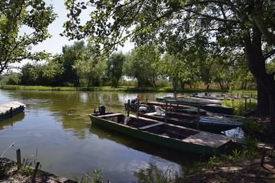Tisza-tó-stock-photo
