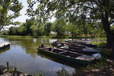 Tisza-tó-stock-foto