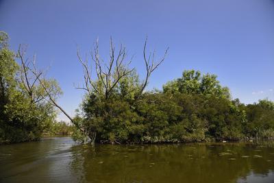 Tisza-tó-stock-foto