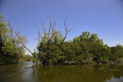 Tisza-tó-stock-photo