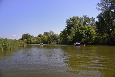 Tisza-tó-stock-photo