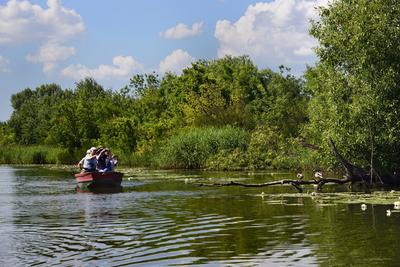 Tisza-tó-stock-foto