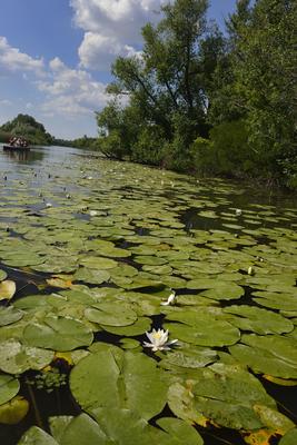 Tisza-tó-stock-foto