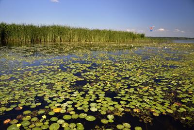 Tisza-tó-stock-foto