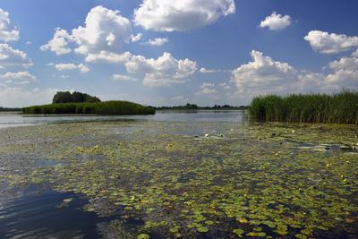 Tisza-tó-stock-foto