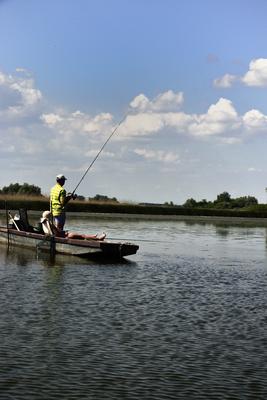 Tisza-tó-stock-foto