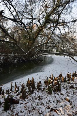 Vácrátót-stock-foto
