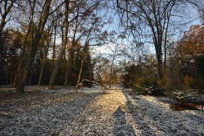 Vácrátót-stock-foto