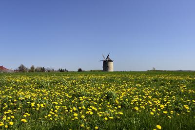 Tési szélmalom-stock-foto