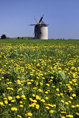 Tési szélmalom-stock-foto