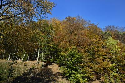 Kőszegi-hegység-stock-foto
