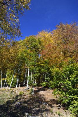 Kőszegi-hegység-stock-foto