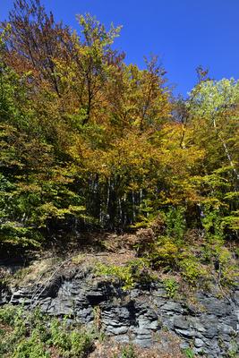 Kőszegi-hegység-stock-foto