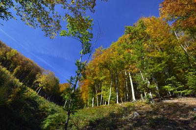 Kőszegi-hegység-stock-foto