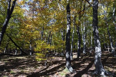 Kőszegi-hegység-stock-foto