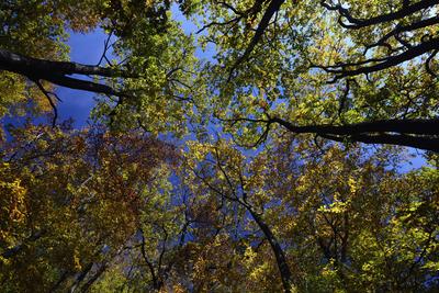 Kőszegi-hegység-stock-foto