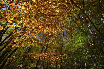 Kőszegi-hegység-stock-foto