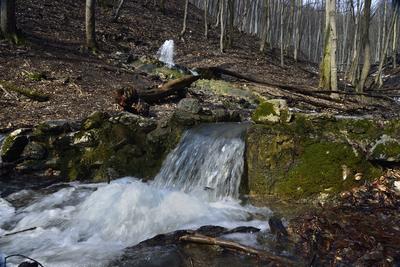 Vöröskő-forrás-stock-foto