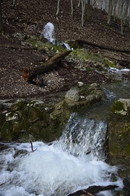 Vöröskő-forrás-stock-foto