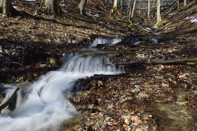 Vöröskő-forrás-stock-foto