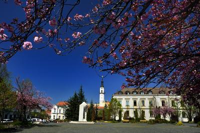 Veszprém-stock-foto