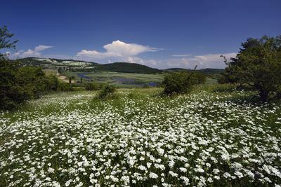 Tihanyi-félsziget-stock-photo