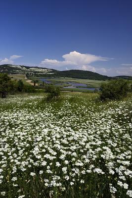 Tihanyi-félsziget-stock-photo