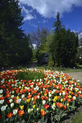 Vácrátót-stock-foto