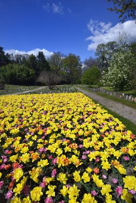 Vácrátót-stock-foto