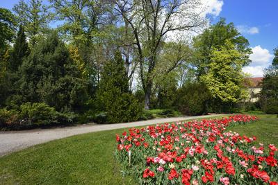 Vácrátót-stock-foto