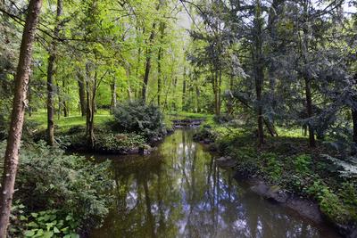 Vácrátót-stock-foto