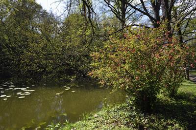 Vácrátót-stock-foto