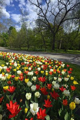 Vácrátót-stock-foto