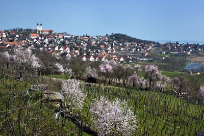 Tihanyi-félsziget-stock-foto