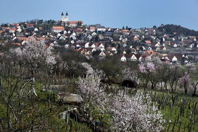 Tihanyi-félsziget-stock-foto