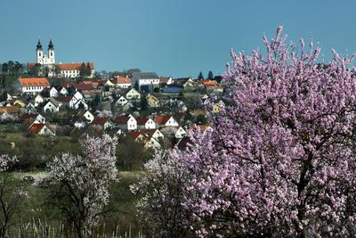 Tihanyi-félsziget-stock-foto
