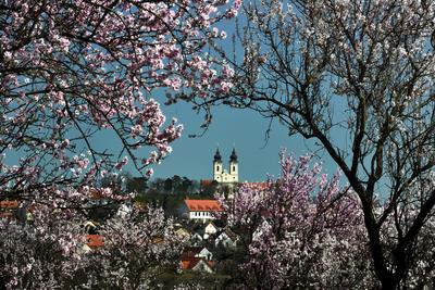 Tihanyi-félsziget-stock-foto