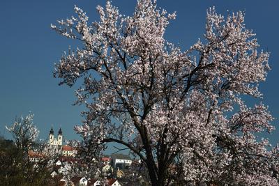 Tihanyi-félsziget-stock-foto