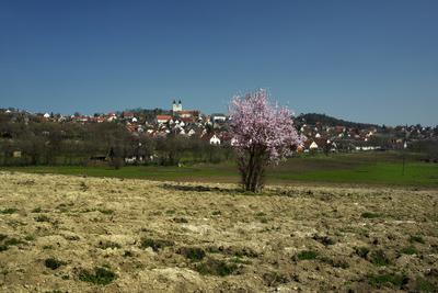 Tihanyi-félsziget-stock-foto