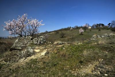 Tihanyi-félsziget-stock-foto