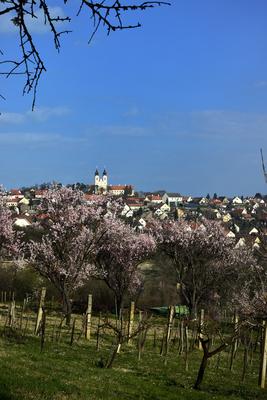 Tihanyi-félsziget-stock-foto