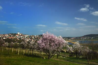 Tihanyi-félsziget-stock-foto