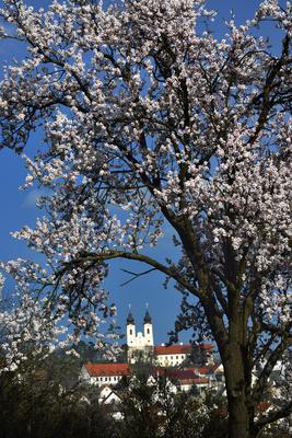 Tihanyi-félsziget-stock-foto