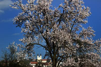 Tihanyi-félsziget-stock-foto